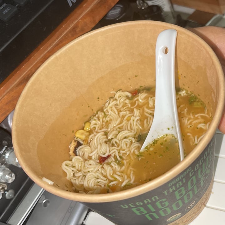 photo of Ocean's Halo Big bowl of noodles (vegan Thai coconut ) shared by @iseekplants on  07 Jun 2022 - review
