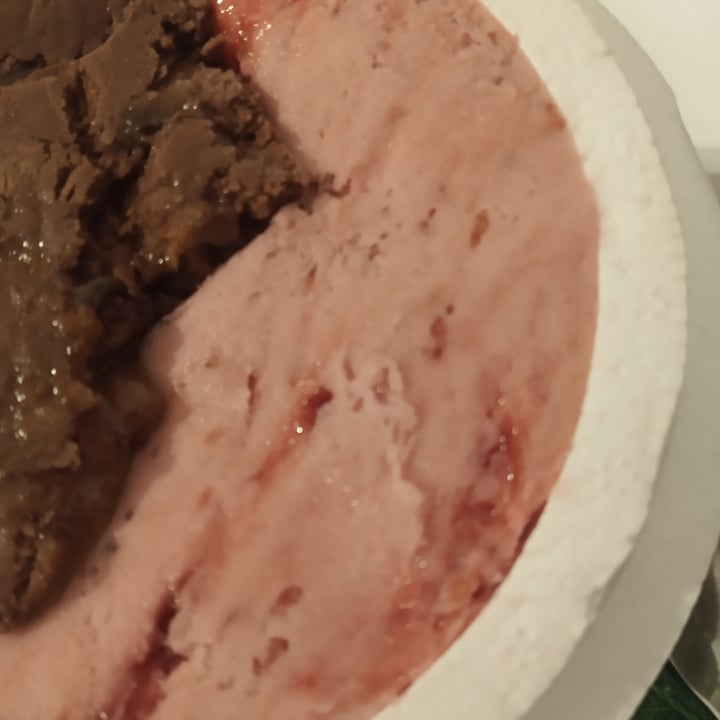 review photo of Freddo Helado NotCo mousse de frambuesa shared by @jazzmin on 17 Apr 2022 - review