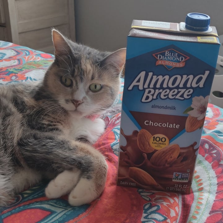 photo of Blue Diamond Chocolate Almond Milk shared by @kqm219 on  07 Feb 2021 - review