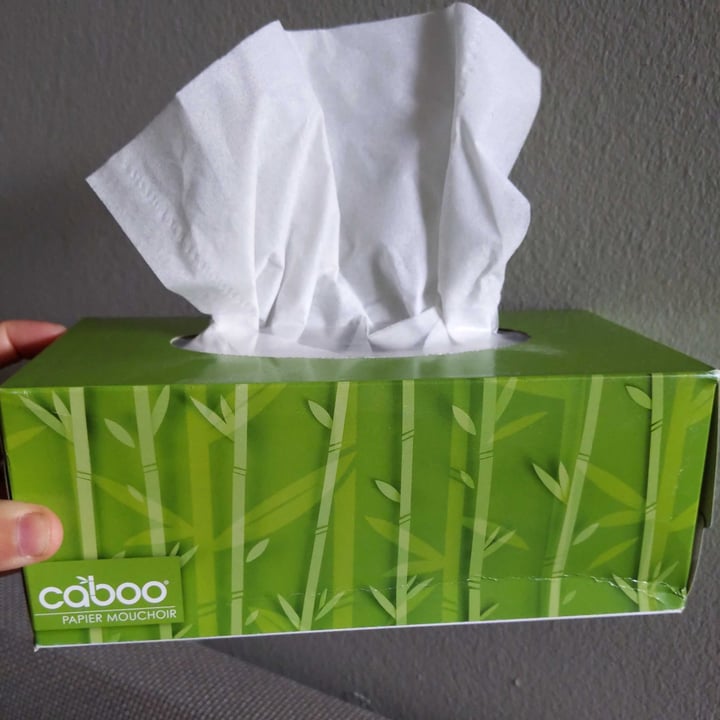 photo of Caboo Paper Products USA Caboo Facial Tissue shared by @iamabunny on  03 Jun 2021 - review