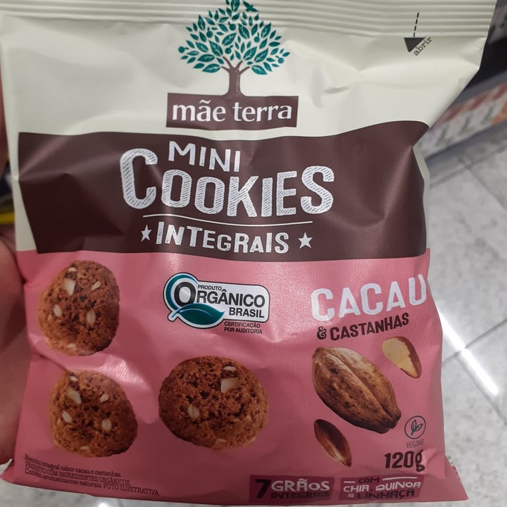 photo of Mãe Terra Mini Cookies Integrais Cacau e Castanha shared by @0610 on  15 May 2022 - review