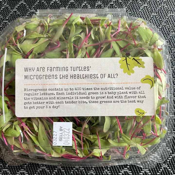 photo of Farming turtles Bulls blood beet microgreens shared by @htrfung on  19 Apr 2022 - review