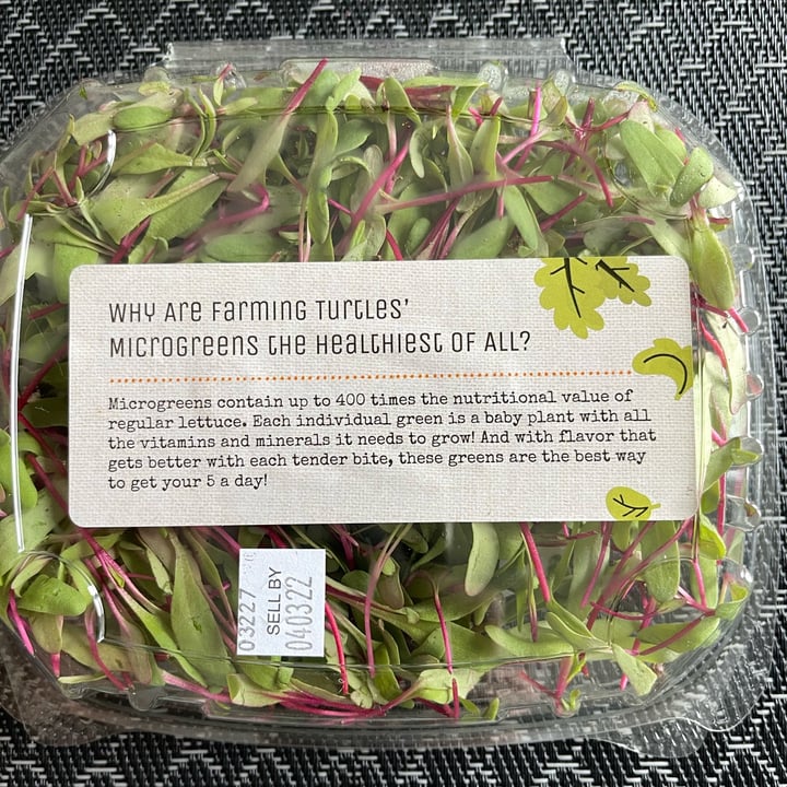 review photo of Farming turtles Bulls blood beet microgreens shared by @htrfung on 19 Apr 2022 - review