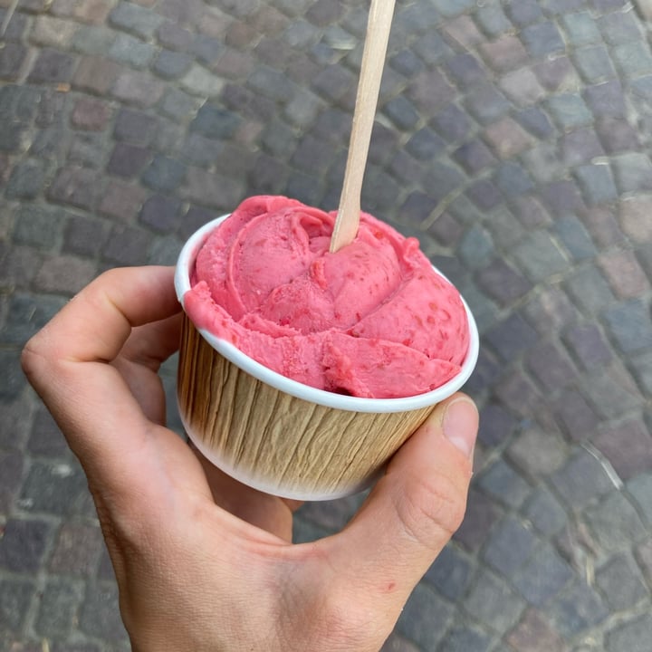 photo of Cafe Gelateria Riedl Glurns Raspberry Ice Cream shared by @elisavegan on  22 Jul 2022 - review
