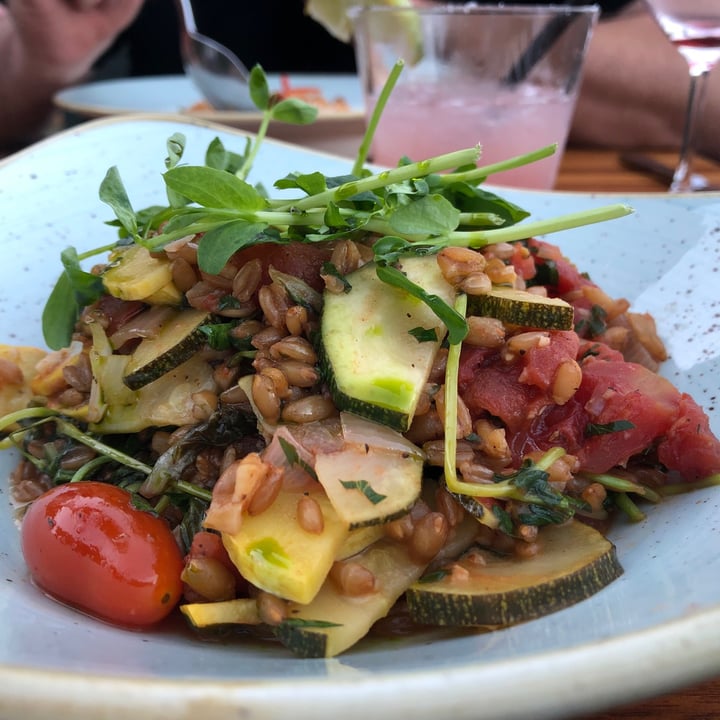 photo of Coast Kitchen Farrow Dish shared by @liladawn on  02 Nov 2020 - review