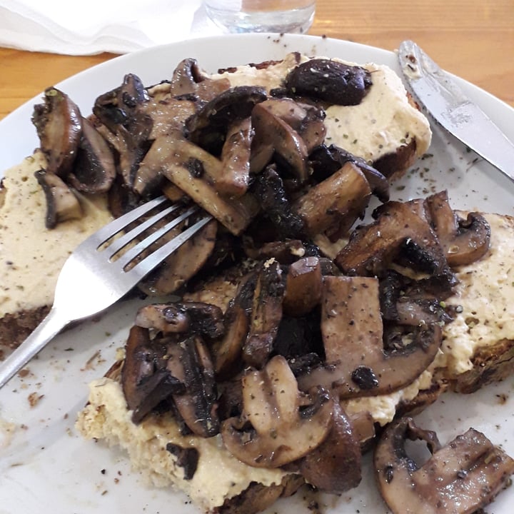 photo of Pure Café Avo, mushrooms and hummus on sour dough bread shared by @ginyandaisy on  15 Feb 2022 - review