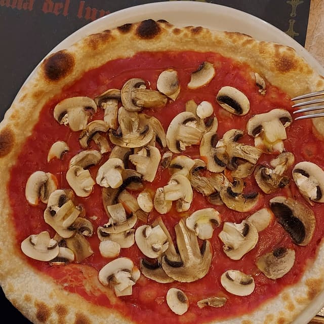 菜肴“Pizza ai funghi”的照片