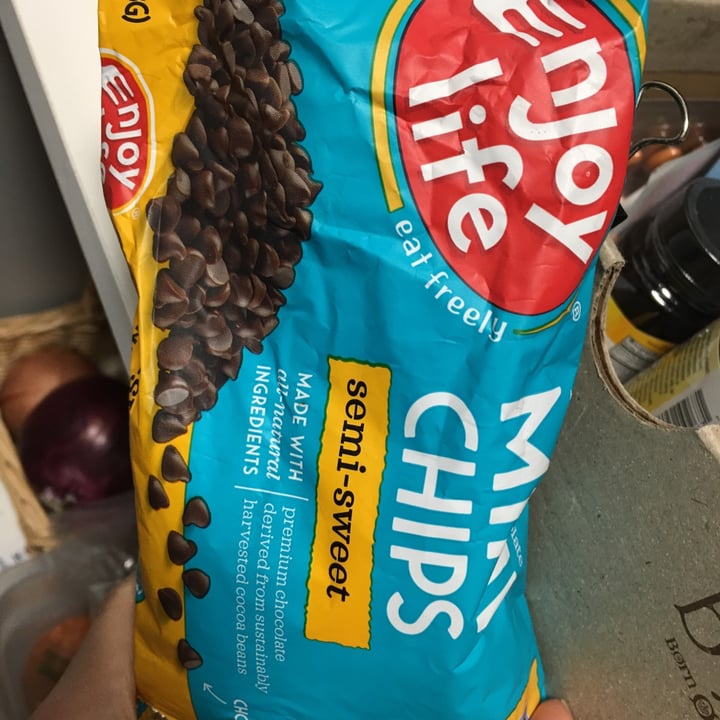 photo of Enjoy Life Semi-Sweet Chocolate Mini Chips shared by @zeuy on  01 Mar 2021 - review
