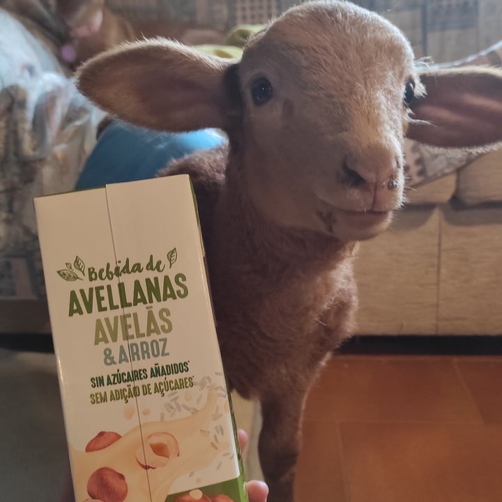 review photo of Hacendado Bebida de avellanas y arroz shared by @elur on 10 Dec 2021 - review
