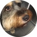 rutineta @rutineta profile image