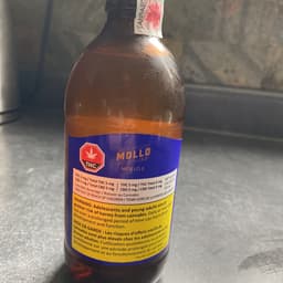 Mollo