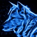 lucsdv @lucsdv profile image