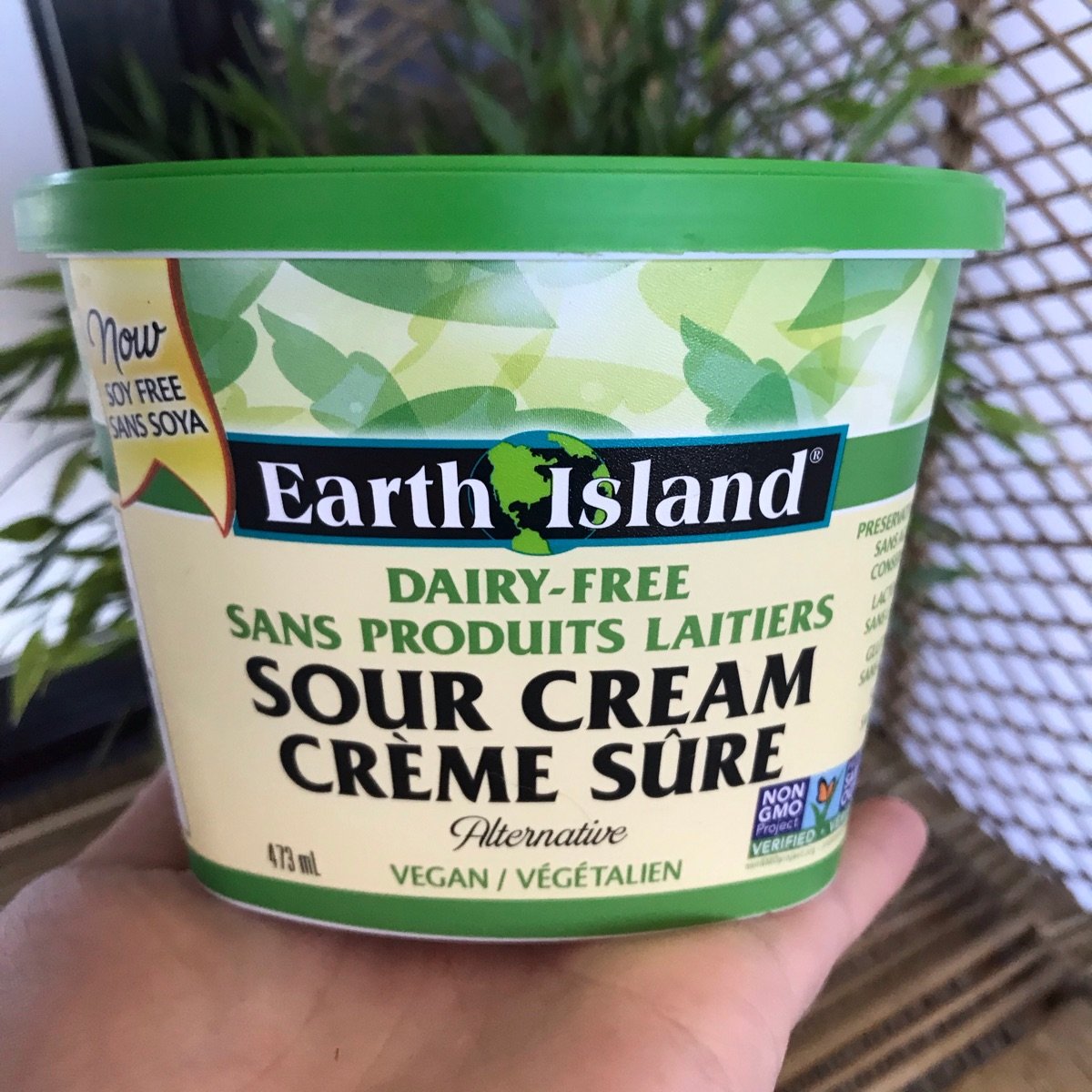 Earth Island Dairy-Free Vegan Sour Cream – Delicious MV & Vineyard