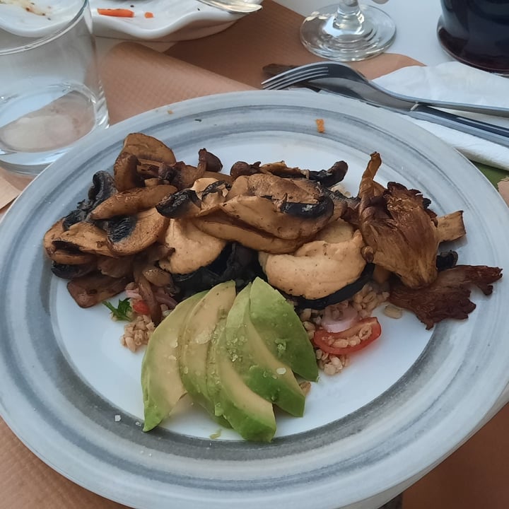 photo of Pulse (Vegan-Vegetarian) Mushroom portobello with salad shared by @saraborsati on  15 Sep 2022 - review