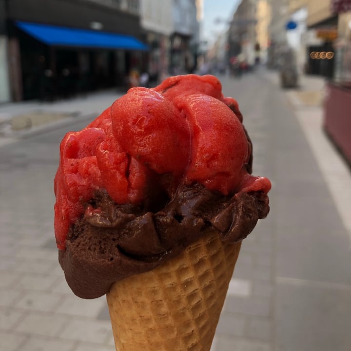photo of Eis Greissler Vegan Ice Cream shared by @mudi on  09 Aug 2020 - review