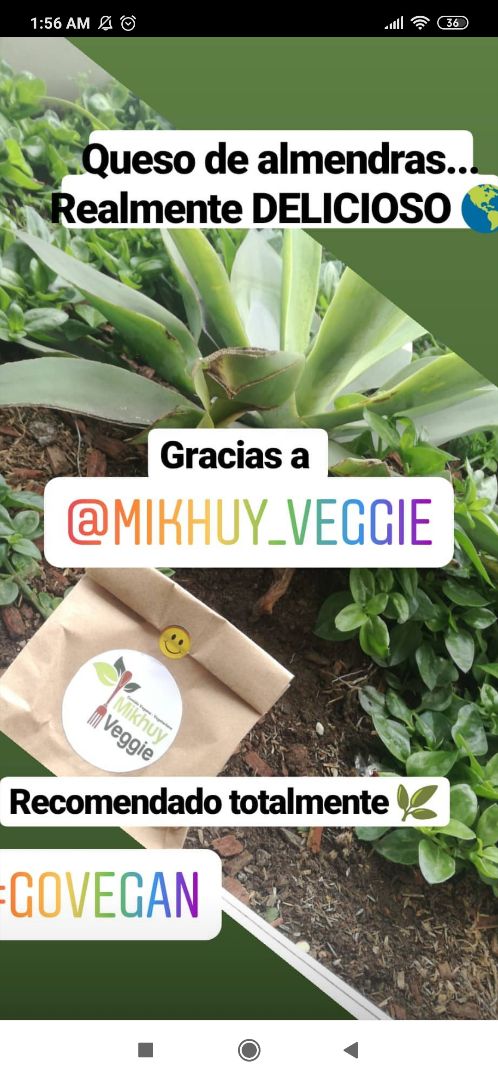 photo of Mikhui veggie Queso de almendras shared by @black17alex on  28 Feb 2020 - review