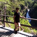 guadalupeesilva @guadalupeesilva profile image