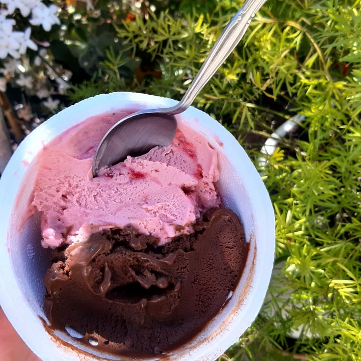 review photo of Cremolatti chocolate y frutilla a la crema de almendras shared by @gabrgarcia on 26 Sep 2022 - review