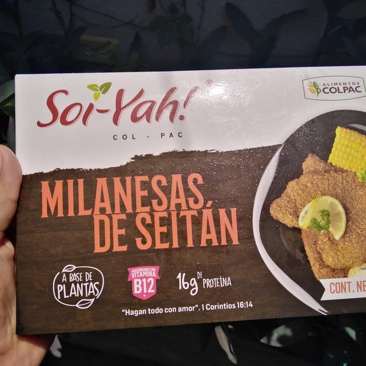 photo of Alimentos Colpac Proteínas Vegetales Estilo Milanesa shared by @bettyska on  28 May 2021 - review