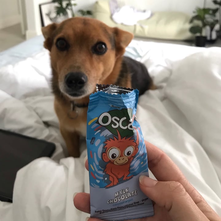 review photo of The Chocolate Yogi Oscar Mylk Chocolate shared by @cassieviljoen on 05 Jun 2020 - review
