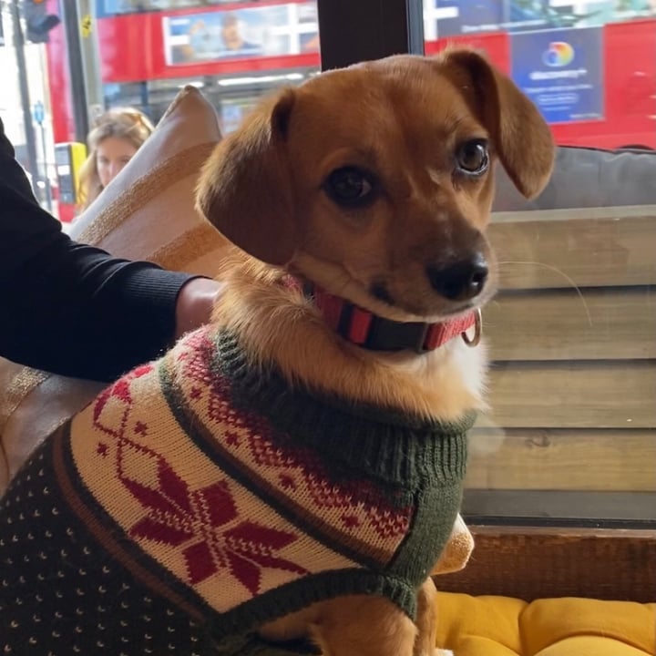 review photo of Blank Brixton Oat milk latte shared by @oliveu on 07 Dec 2020 - review
