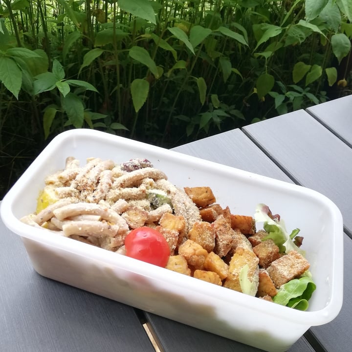 photo of Vegan Resort & veganes Catering in Mecklenburg-Vorpommern der Kernvoll GmbH Nudelsalat mit Tempeh und Cashew-Parmesan shared by @mareikeks on  09 Jul 2022 - review