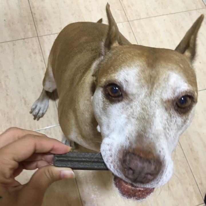 review photo of Edgard Cooper Doggy Dental Cool Mint Oil & Strawberry shared by @andy11 on 20 Sep 2020 - review