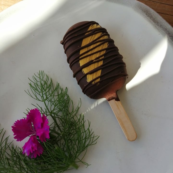 photo of The Kindred Kitchen chocolate popsicle shared by @warrenthevegan on  30 Jun 2022 - review