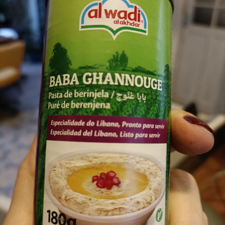 review photo of Al wadi Baba Ghannouche shared by @alicevasconcelos on 09 May 2022 - review