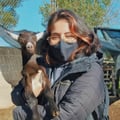 sofi1 @sofi1 profile image