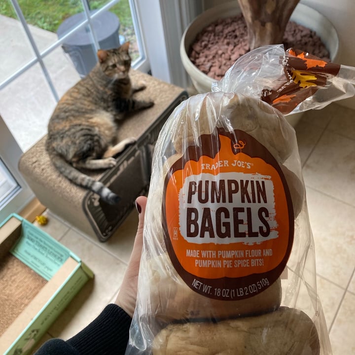 photo of Trader Joe's Pumpkin Bagels shared by @ecrocker on  30 Sep 2021 - review