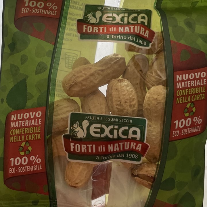 photo of Exica arachidi tostate shared by @1966sandra on  21 Jun 2022 - review