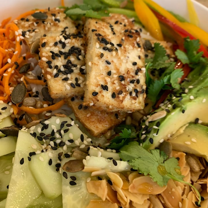 review photo of The Little Big Cafe Fernández de Los Ríos Vegan Buy Chay shared by @gechauca28 on 22 Jul 2021 - review