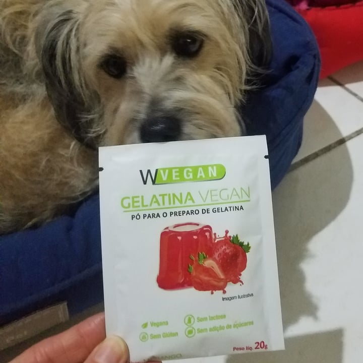 photo of Wvegan gelatina de morango shared by @tatianenaches on  23 Jul 2022 - review