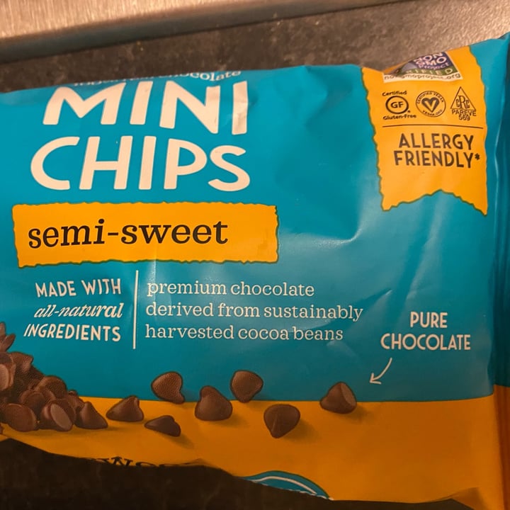 photo of Enjoy Life Semi-Sweet Chocolate Mini Chips shared by @thatveganchick on  22 Mar 2021 - review