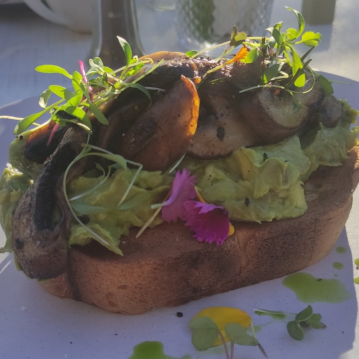 photo of Mona Vale Restaurant Smashed Avocado on Sourdough shared by @lojo on  06 May 2022 - review