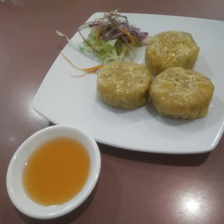 photo of Mother Chu's Vegetarian Kitchen Dim Sims shared by @veganadam on  05 Apr 2021 - review