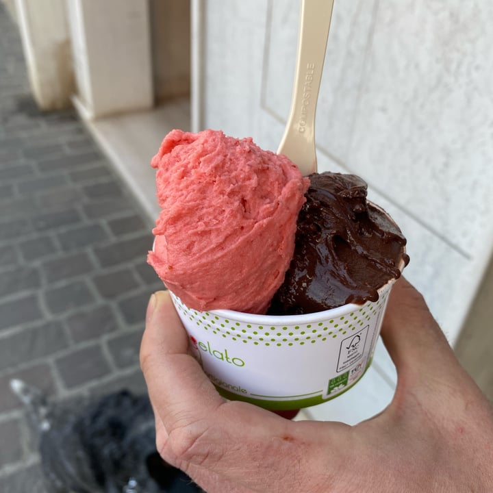 photo of Punto gelato naturale Fondente e fragola shared by @ellielli on  28 Mar 2022 - review