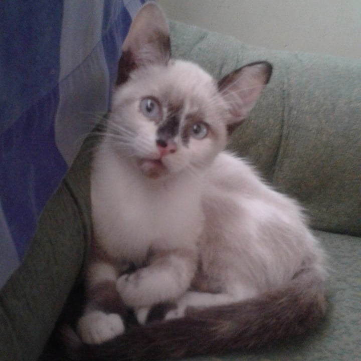 photo shared by @mimikyug on  06 Nov 2021 - post