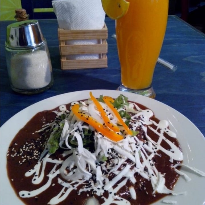 photo of Restaurante Paraiso Vegano Enmoladas shared by @saidfaccio16 on  05 Nov 2020 - review