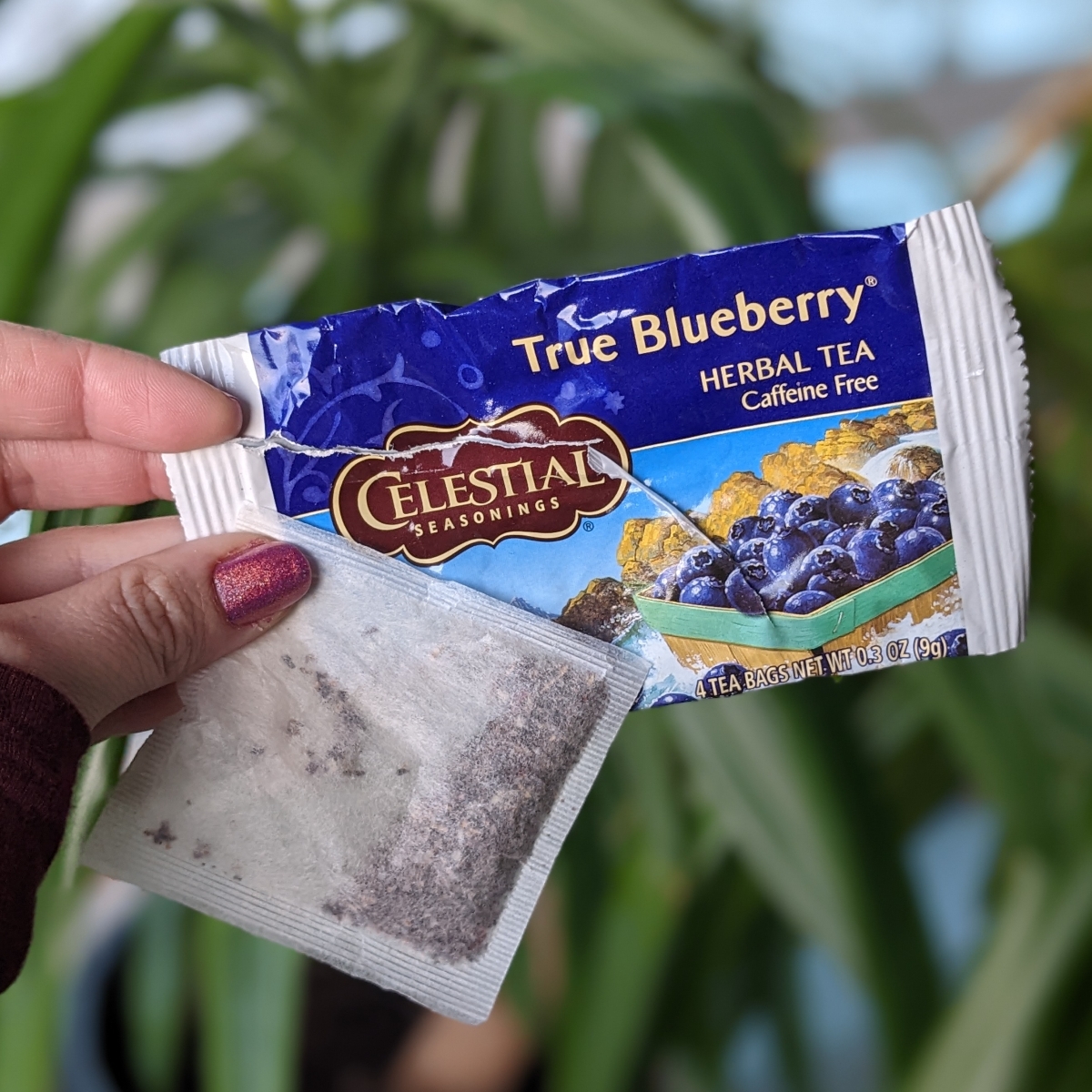 Celestial Seasonings True Blueberry Herbal Tea Reviews abillion