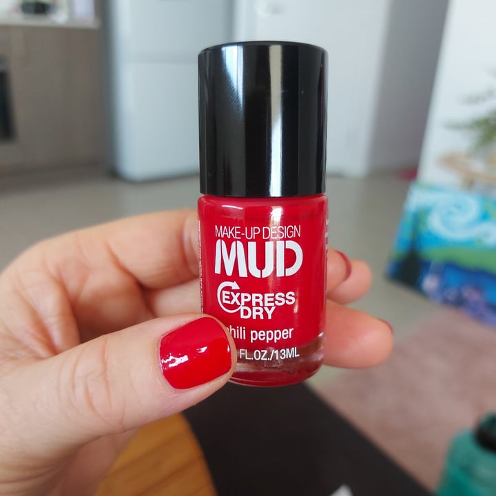 photo of MUD Express Dry Nail Polish - Chilli Pepper shared by @romyelise on  07 May 2022 - review