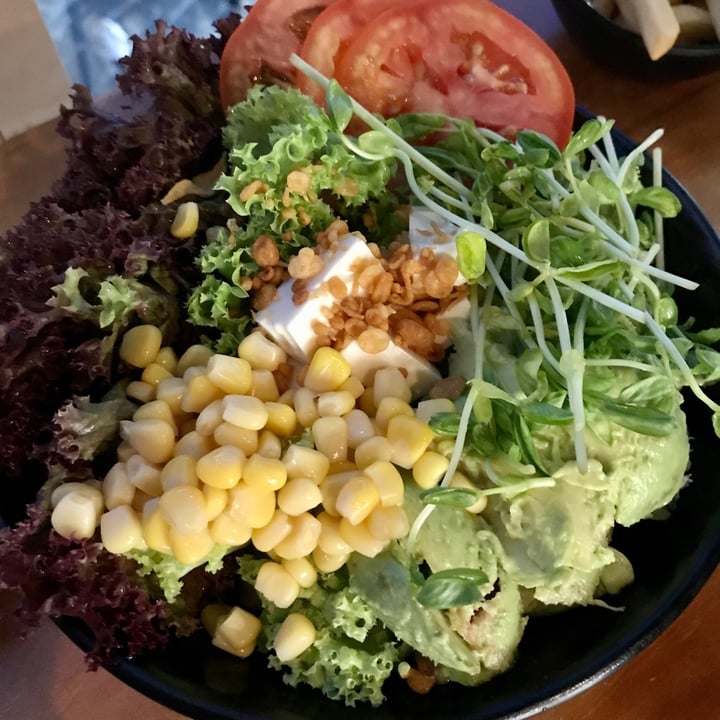 photo of nomVnom Bistro Salad with Balsamic Vinegar shared by @ziggyradiobear on  30 Apr 2022 - review