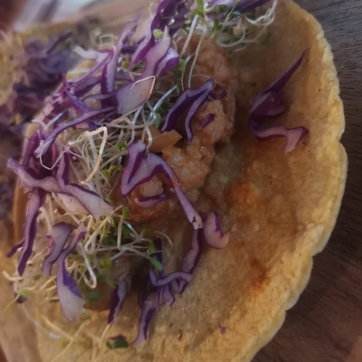 photo of Casa Maca Vegan Concept Tacos De Coliflor En Salsa De Cacahuete shared by @angyzam on  28 Apr 2022 - review