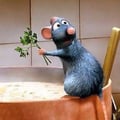 avatar of ratatouvege