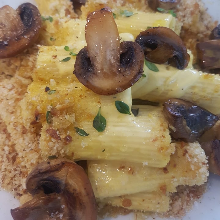 photo of PlantMade. Mac’n Cheese shared by @vivianmaximo on  06 Jul 2021 - review