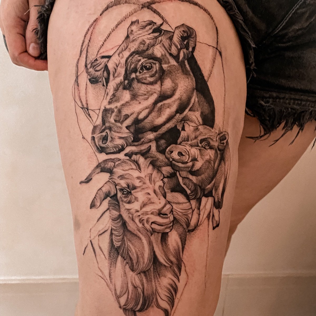 Dynamic Ink from Dynamic ink - Vegan Product Reviews & Ratings | abillion