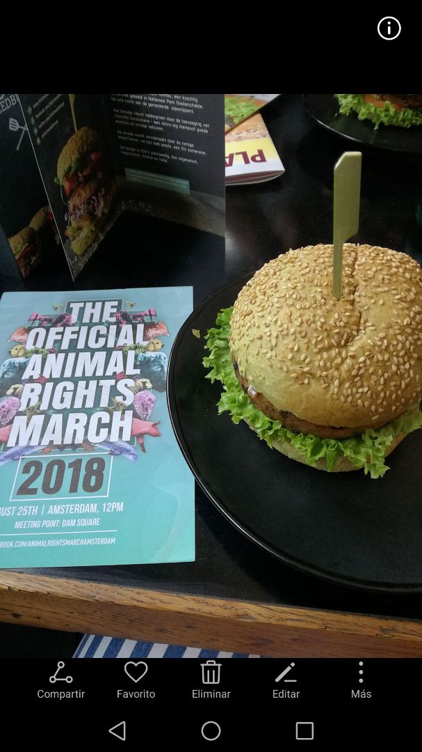 photo of The Dutch Weed Burger Joint The Dutch weed burger shared by @myksvegan on  31 Jul 2019 - review