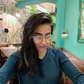 chandnibhudia @chandnibhudia profile image