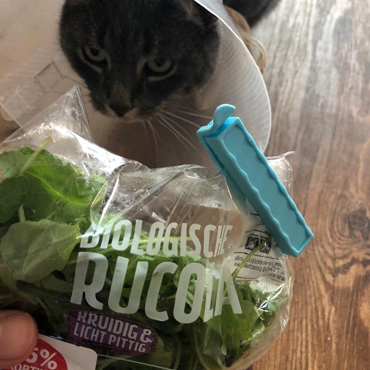 Biologische rucola from Albert Heijn AH - Vegan Product Reviews ...